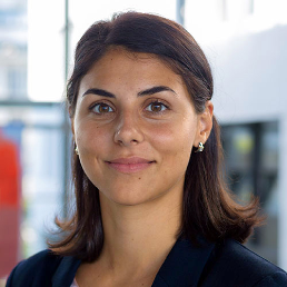 د سویس کډوالو ادارې د قومیت پر اساس د پښتنو د اېستلو موضوع رد کړه