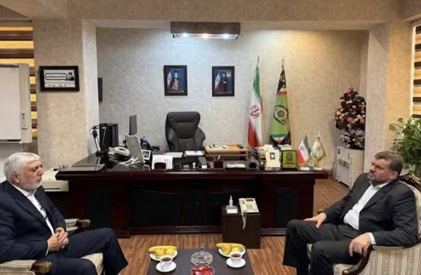 مسؤول إيراني: شحنات كبيرة من المخدرات لا تزال تدخل إيران من أفغانستان