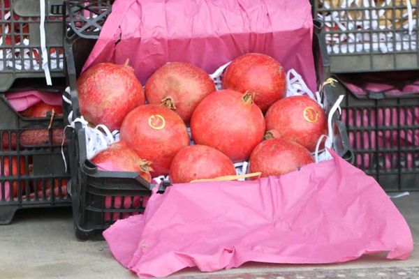 نړۍوال بانک وایي، افغانستان په اکټوبر میاشت کې ۲۶۷مېلیونه ډالره صادرات کړي