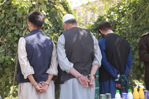 طالبانو په هرات کې د غلو هغه ډله نیولې چې خلک یې له بې هوښه کولو وروسته لوټل
