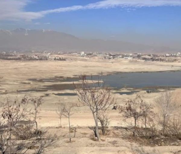 اداره محیط زیست طالبان: سازمان‌های بین‌المللی بدون ملاحظات سیاسی به افغانستان کمک کنند