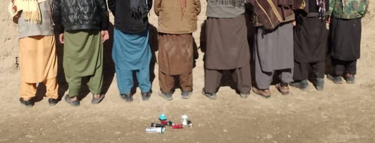 طالبان وایي په بادغیس کې یې د وحشي مرغانو د ښکار په تور اته کسان نیولي دي