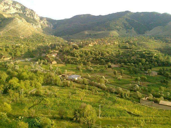 په اورکزیو ولسوالۍ کې د وسله والو ډلو د نفوذ له امله سلګونه کورنۍ کډوالۍ ته اړې شوې دي