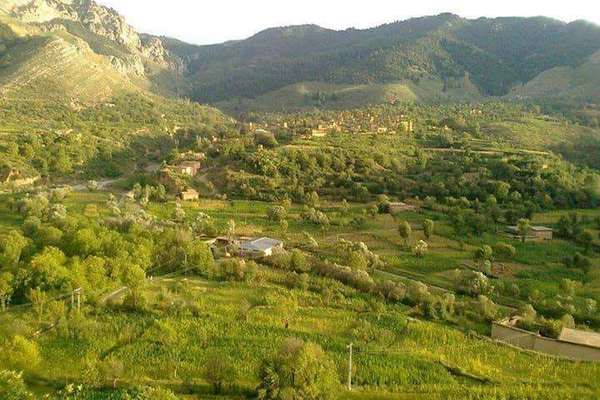 په اورکزیو ولسوالۍ کې د وسله والو ډلو د نفوذ له امله سلګونه کورنۍ کډوالۍ ته اړې شوې دي