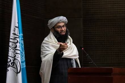 خالد حنفي: بهرنۍ رسنۍ د «بې‌حجابۍ، شراب خورۍ او قمار بازۍ» لپاره کار کوي