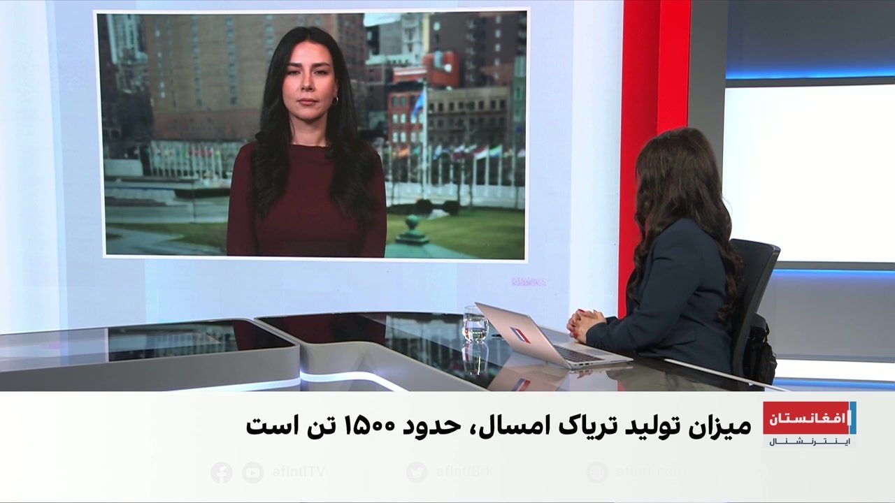 سازمان ملل متحد: کشت خشخاش در افغانستان چهار برابر افزایش یافته است