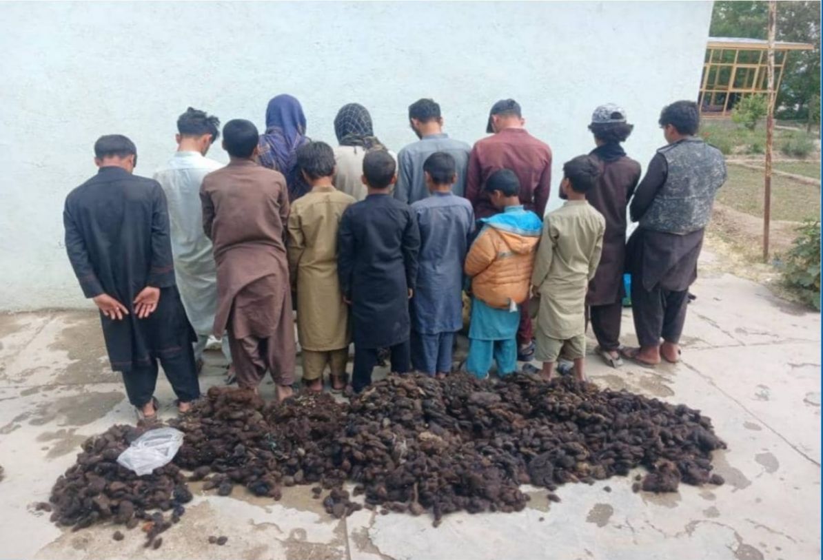 طالبانو په غزني کې د ښځو د وېښتانو د پېرلو په تور ۱۴ کسان ونیول