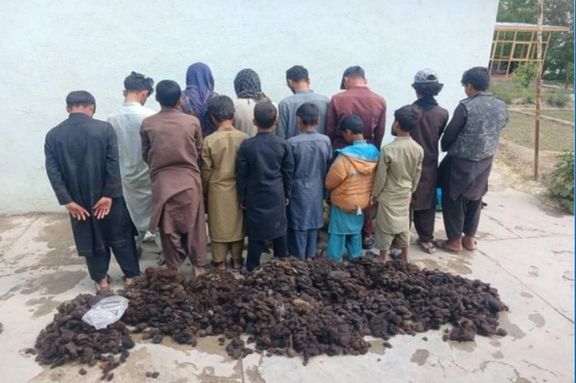 طالبانو په غزني کې د ښځو د وېښتانو د پېرلو په تور ۱۴ کسان ونیول