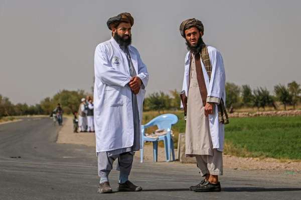 طالبان وايي، په هلمند ولایت کې یې یو کوډګر نیولی دی