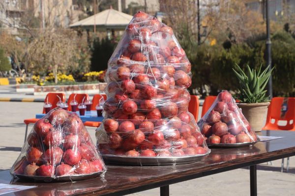 یو ملي سوداګر هره ورځ د یوه ښوونځي پر زدهکوونکو یو ټن انار او د انارو اوبه وېشي