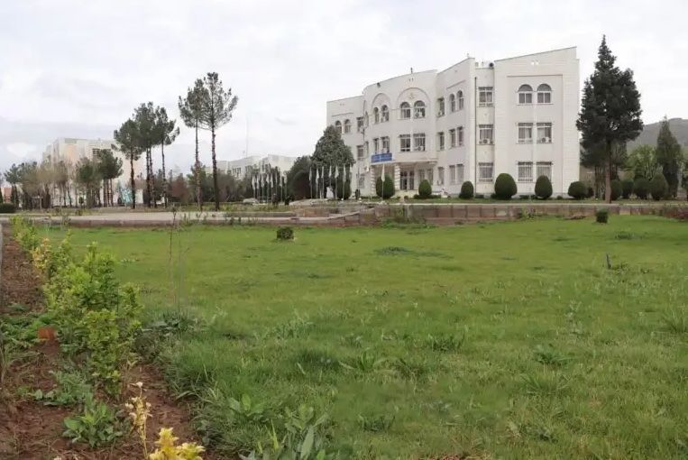 د هرات پوهنتون محصل: د لیلیې د خونو تالاشي او محدودیتونو محصلان اندېښمن کړي دي