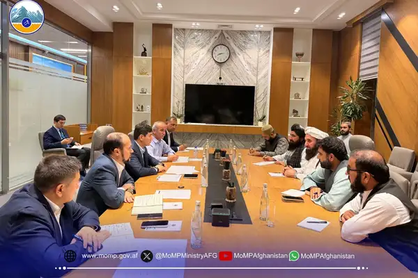 هیئت طالبان با وزیر معادن اوزبیکستان درباره مشکلات پروژه گاز طوطیمیدان دیدار کرد