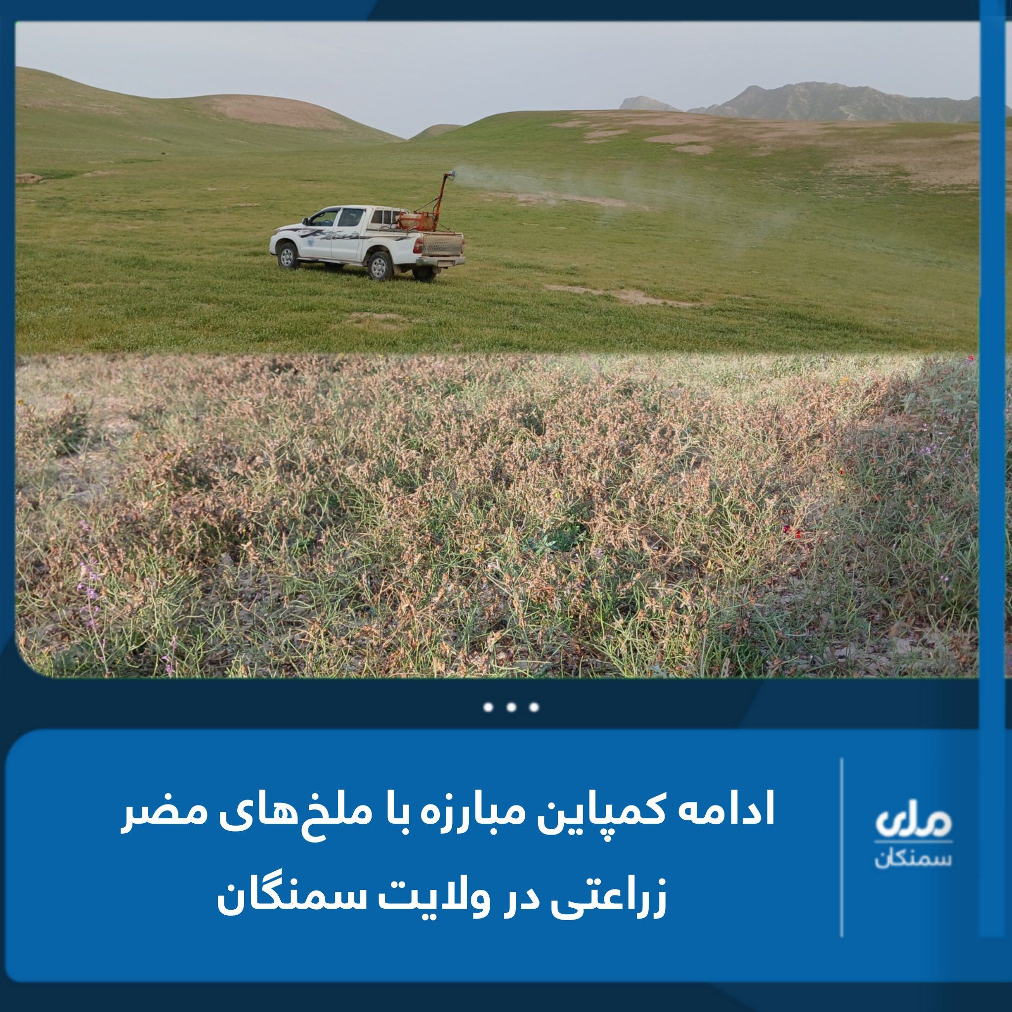 طالبان ۳.۷ میلیون جریب را در سمنگان چراگاه عمومی اعلام کرد