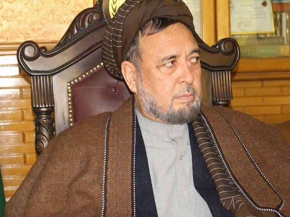 محمد محقق: دولة واحدة تدعم النضال المسلح ضد طالبان