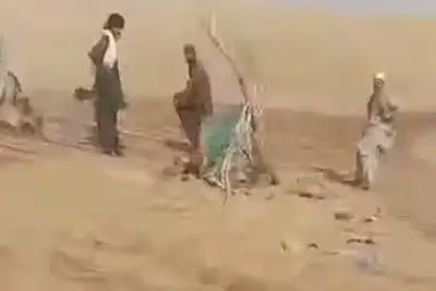 هفت کودک و هفت مرد افغان که در راه ایران جان دادند چه کسانی بودند