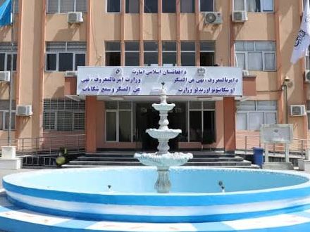 طالبان وایي، تېره اونۍ «۱۷ مېرمنې» له اجباري نکاح او کورني تاوتریخوالي ژغورلي