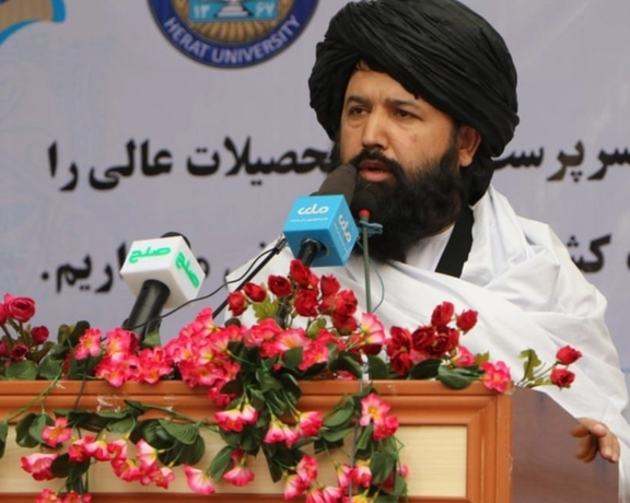 د طالبانو د لوړو زده کړو سرپرست: له کفارو سره تعامل نه کوم