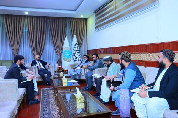 د طالبانو د روغتیا وزیر له ترکیې نه د روغتیايي سکتور په برخه کې د مرستې غوښتنه کړې