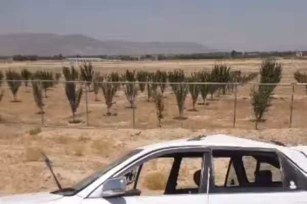 په لوګر کې په پنځو ټرافیکي پېښو کې ۱۱ کسان ټپيان شوي