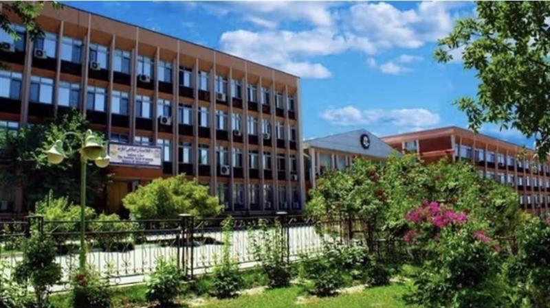 طالبانو په میدان وردګ او زابل کې پنځه تنه په عام محضر کې په دُرو وهلي