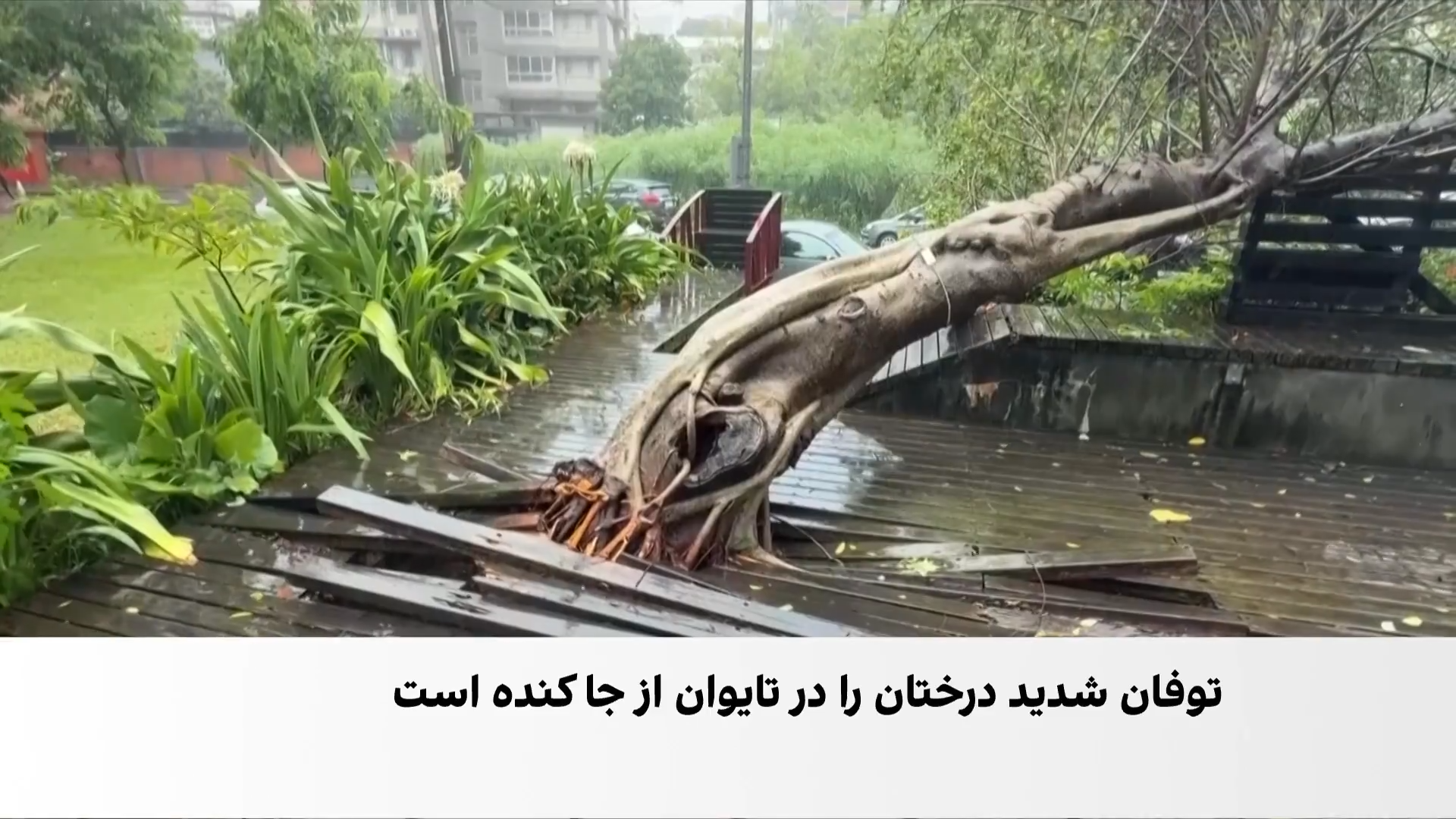 توفان ویرانگر تایوان را درنوردید