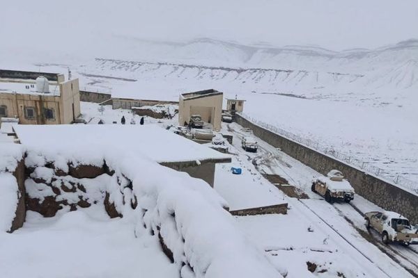 مرگ مهاجران افغان در مرز ایران