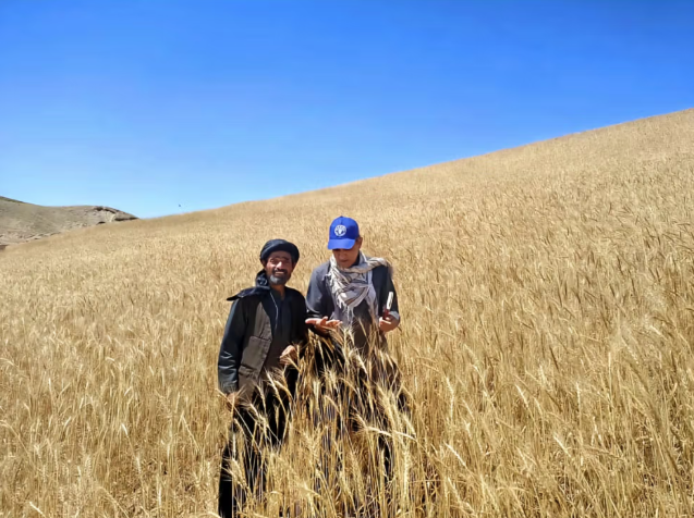 قلق الأمم المتحدة إزاء تفاقم موجة الجفاف في أفغانستان