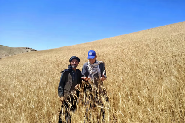 قلق الأمم المتحدة إزاء تفاقم موجة الجفاف في أفغانستان