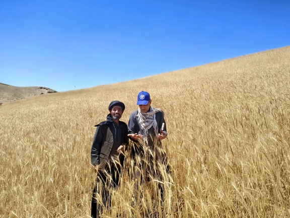 قلق الأمم المتحدة إزاء تفاقم موجة الجفاف في أفغانستان