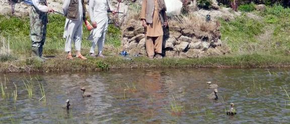 طالبانو په کندهار کې ۳۳ تنه د ژویو او مرغانو د ښکار په تور نیولي