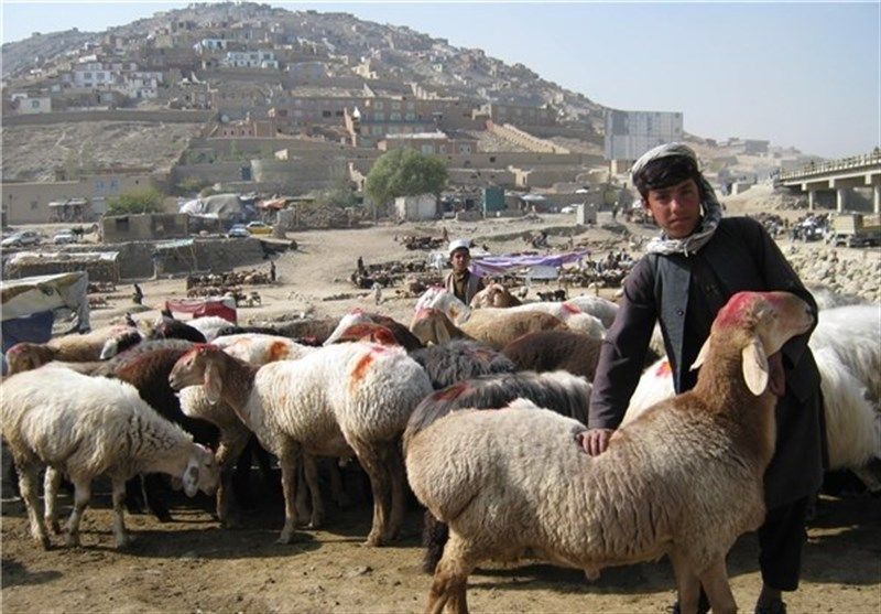 دادگاه عالی طالبان چهارشنبه هفته آینده را اول عید قربان اعلام کرد