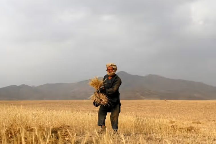 د اوبو کمښت او د کرنیزې سرې د بیو لوړوالی افغانستان ګواښي