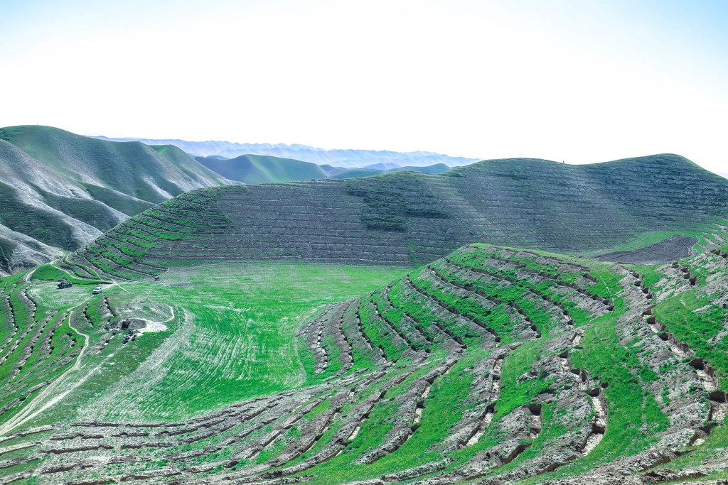 سازمان ملل: در سه سال بیش از یک‌ونیم میلیون نهال پسته در بادغیس کاشته‌ایم