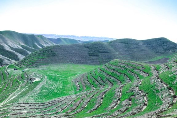 سازمان ملل: در سه سال بیش از یکونیم میلیون نهال پسته در بادغیس کاشتهایم