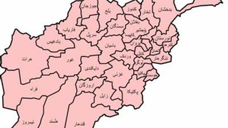 شننه؛ افغانستان، د ویښتیا فرهنګي غورځنګ او بهر مېشتي افغانان