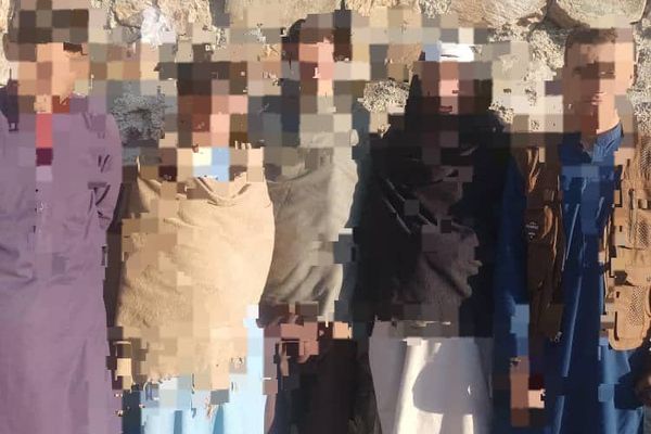 طالبانو په ننګرهار کې د ځنګلونو د پرې کولو په تړاو د پنځو کسانو د نیولو خبر ورکړ