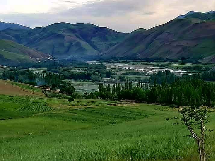 طالبان در بدخشان فلش و کارت حافظه موترها را ضبط کردند تا رانندگان موسیقی نشنوند