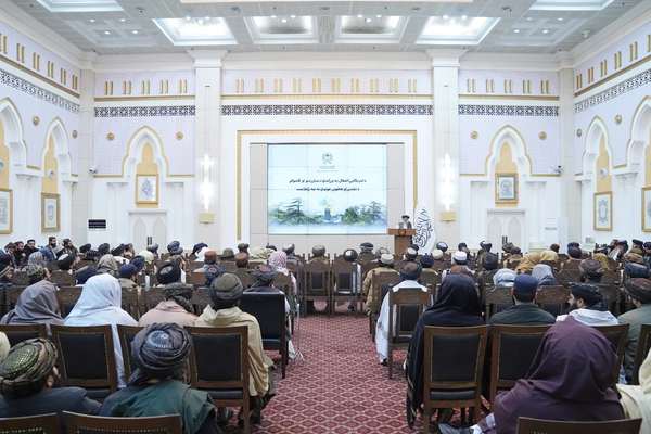 ملا تاجمیر وايي د طالبانو فرهنګیانو «د خلکو د ارادې په مدیریت» کې مهم رول لوبولی
