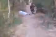 جبهه متحد میگوید یک مامور امر به معروف طالبان در قندهار را کشته است