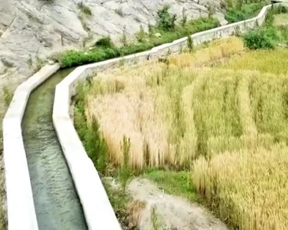 خوړو نړۍوال پروګرام: تېر کال مو په افغانستان کې نږدې ۴۷۰ کیلو مټره د اوبو کانالونه جوړ کړي