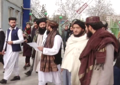 طالبان از ثبت دو میلیون جریب زمین غصب‌شده خبر داد