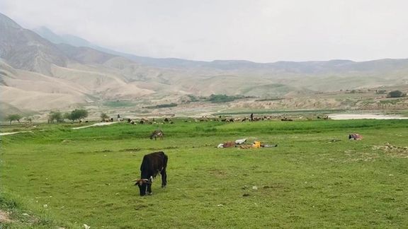 طالبان میگوید ۲۰ هزار جریب زمین زراعتی 'غصبشده' در بغلان را پس گرفته است