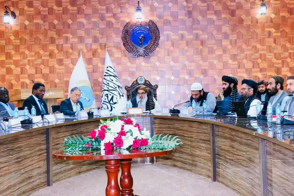 د طالبانو د عامې روغتیا وزیر له همکارو بنسټونو سره د روغتیایي سیستم پر ځان بسیاینې غږېدلی