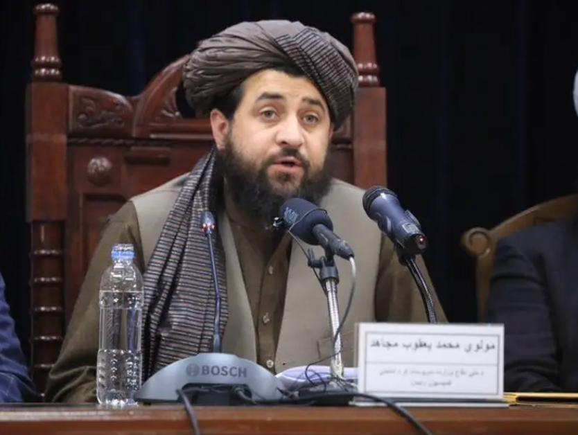 جمعیت علمای اسلام ګوند: د طالبانو دفاع وزیر ویلي د پاکستان او ځان ترمنځ هیڅ فرق نه کوي