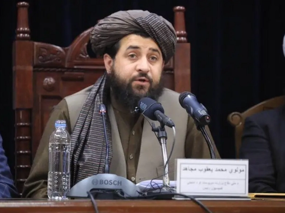 جمعیت علمای اسلام ګوند: د طالبانو دفاع وزیر ویلي د پاکستان او ځان ترمنځ هیڅ فرق نه کوي