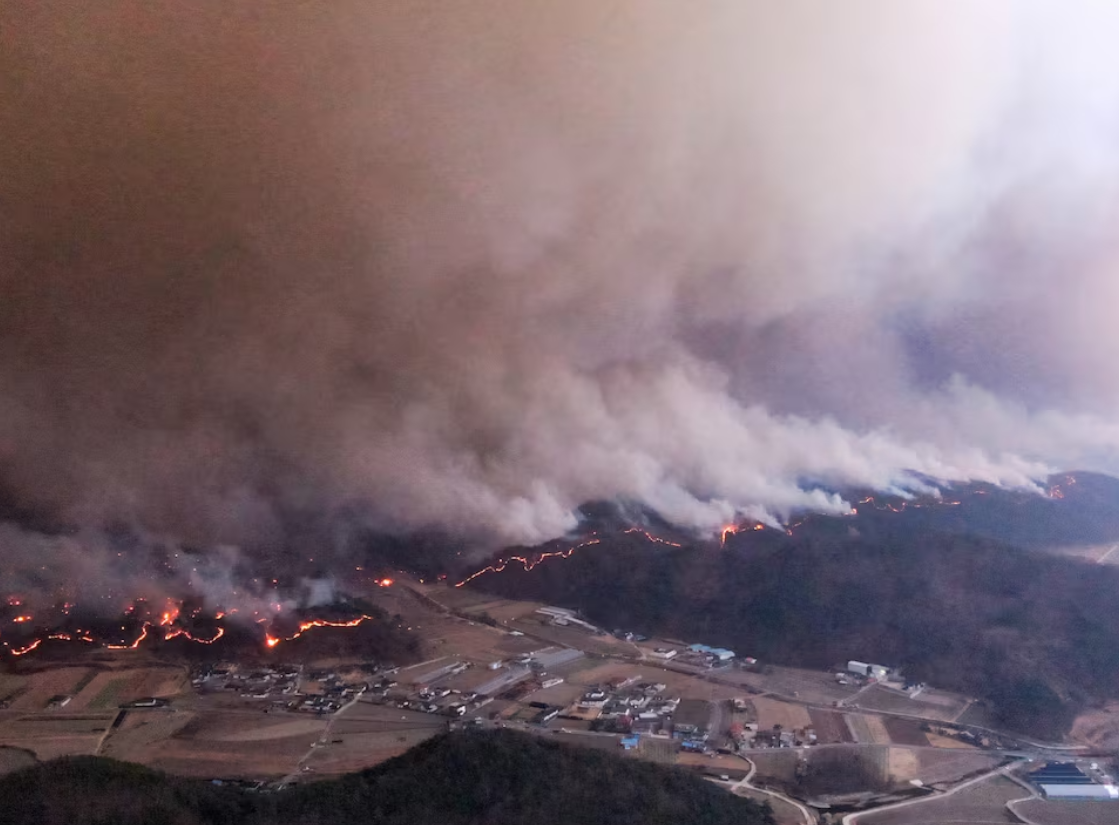 در آتش‌سوزی جنگلات کوریای جنوبی دست‌کم ۱۸ نفر جان باختند