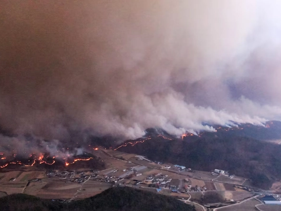 در آتشسوزی جنگلات کوریای جنوبی دستکم ۱۸ نفر جان باختند