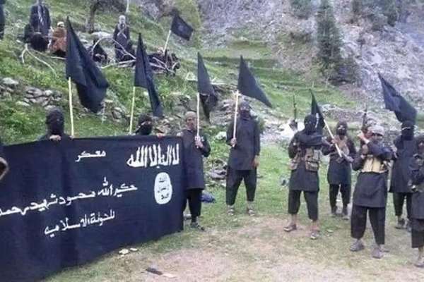 لانگ وار ژورنال: طالبان با داعش مبارزه و با القاعده همکاری میکند