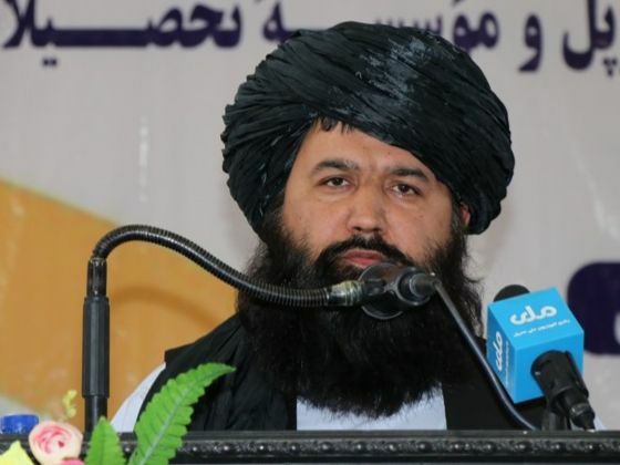 وزیر طالبان از ترکیه خواست استادان و پزشکان متخصص به افغانستان اعزام کند