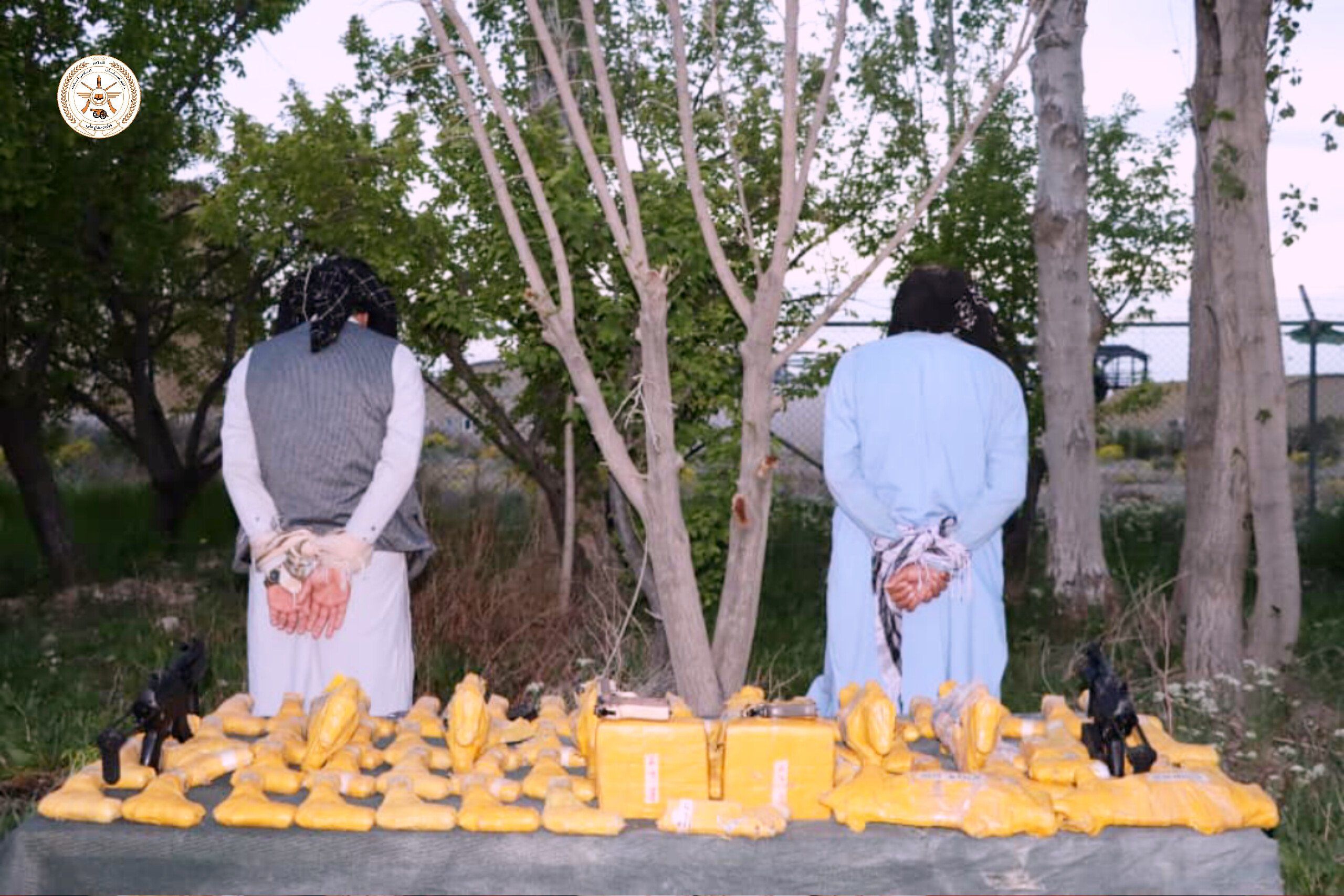 د طالبانو دفاع وزارت: په پکتیا کې مو د وسلو او مهماتو د قاچاق مخه نیولې